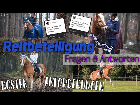 REITBETEILIGUNG Q&A - Kosten; Suche; Tipps ... | KindOfJessi