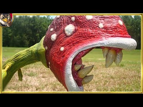 庭にある最も危険な有毒植物10選 自然と動物