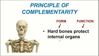 BIO 168 Module 1- How We Study the Body