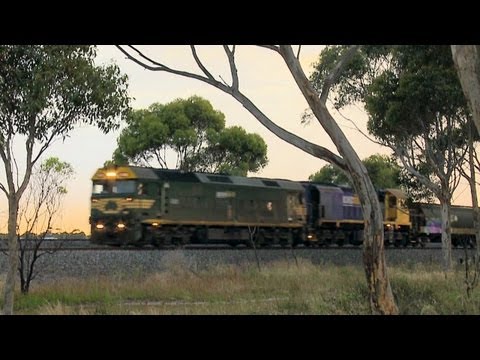 Pacific National Grain Train at Sunset - Australian Railways, Railroads & Trains
