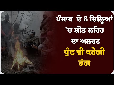 ਪੰਜਾਬ ਦੇ 8 ਜ਼ਿਲ੍ਹਿਆਂ 'ਚ ਸ਼ੀਤ ਲਹਿਰ ਦਾ ਅਲਰਟ: ਧੁੰਦ ਵੀ ਕਰੇਗੀ ਤੰਗ !