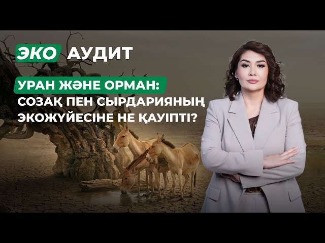 Сырдария өзенінің экожүйесіне қандай қауіп төніп тұр?