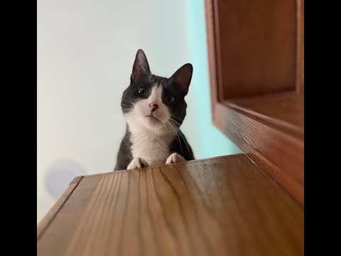 Episode 3069 The Scott Adams School 01/11/26