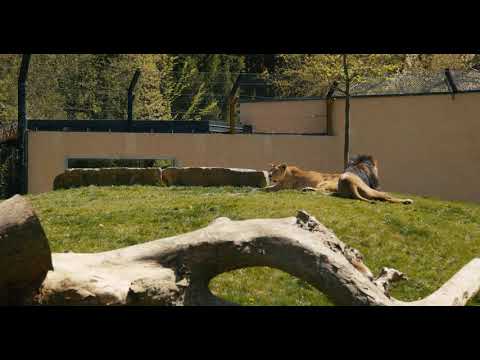 Izlet doma: Živalski vrt Ljubljana