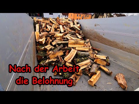 Brennholz für Holzlieferung direkt auf den Anhänger spalten - große Ladung