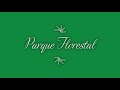 21 de março | Galeria de imagens - Parque Florestal da Quinta de Pentieiros