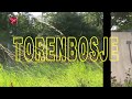 25 Weetjes Dronten - Het geheim van het Torenbosje