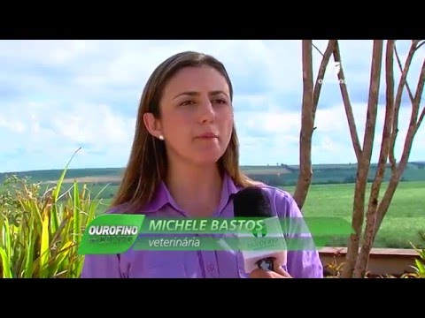 14/12/2015 - Reprodução Em Foco: Diagnóstico Precoce - Ourofino em Campo