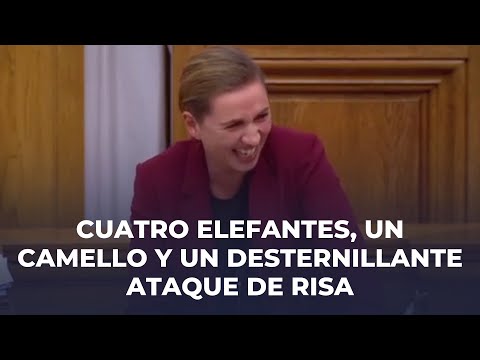 El desternillante ataque de risa de la primera ministra danesa