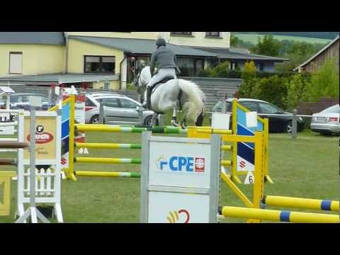 Cowaldsky 6 J. Hengst v. Cornet Obolensky