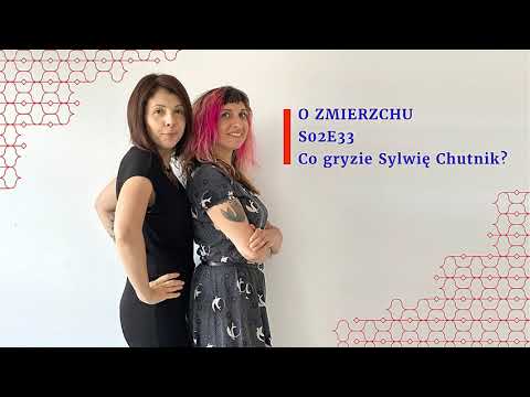 S02E33 Co gryzie Sylwię Chutnik? - O Zmierzchu