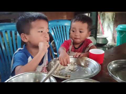 let's pick veggies, eat and play. #pinou and Mangkuu ❤️