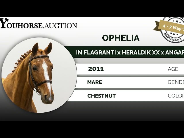 Ophelia showvideo outdoor