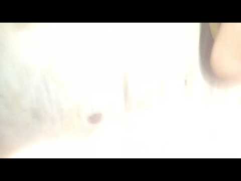 KPJ kletek - Sewates angen