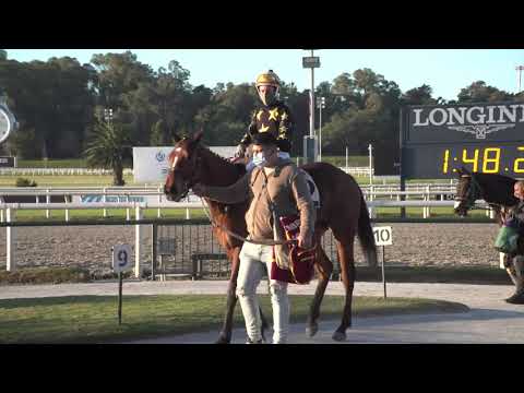 210711 c06 Agraciada