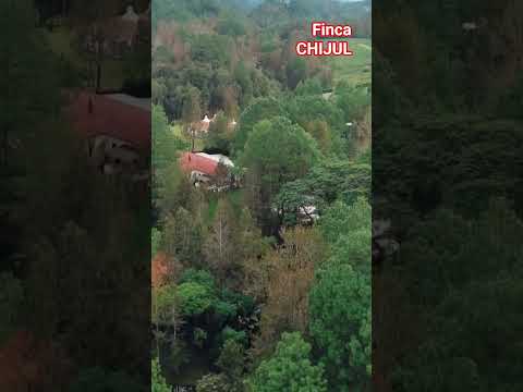 Finca Chijul,  Cerca del Centro de San Juan Chamelco,  Alta Verapaz Guatemala 🇬🇹 #altaverapaz