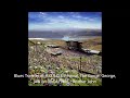 Blues Traveler - Brother John (Live) at H.O.R.D.E. Festival at the Gorge, George, WA on 08/04/1996