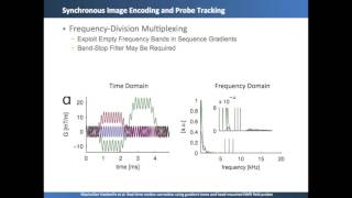 Maximilian Häberlin: Gradient Tones for Motion Correction