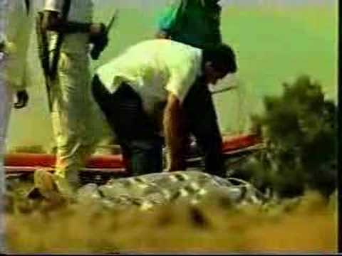 Mensajes del Informe Final de la CVR: Los datos