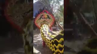 Download lagu barongan Joyo Kusumo ngamuk mp3 Download lagu barongan Joyo Kusumo ngamuk mp3