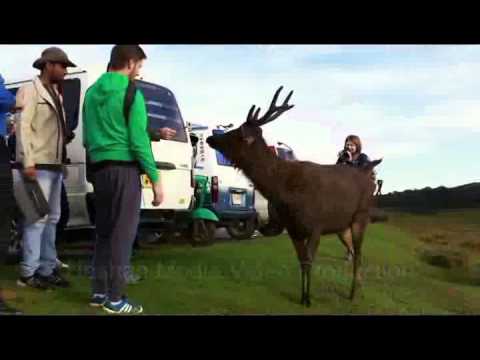 පොළොවෙන් මතුවන මිණිකැට / polowen Matuwana Minikata