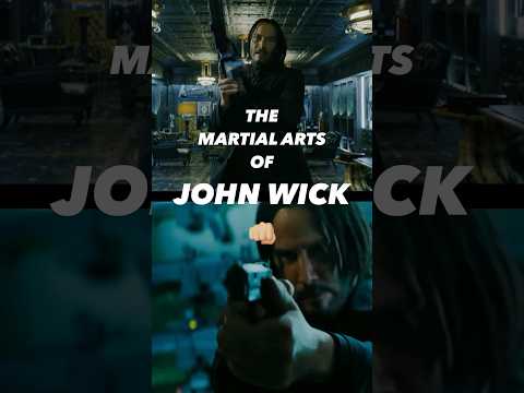 The MARTIAL ARTS of JOHN WICK #johnwick #aikido
