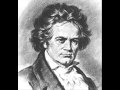 Beethoven - Symphony No.5 in C minor op.67 - III, Allegro