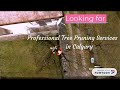 Hedge Trimming Services Calgary
