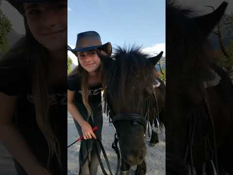 Wahnsinn wie die Zeit vergeht...💗wie lange habt ihr euer Pony? #shetty #paddocktrail #shorts #horse