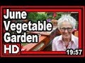 June Vegetable Garden - Wisconsin Garden Video Blog 835 June Vegetable Garden - Wisconsin Garden Video Blog 835