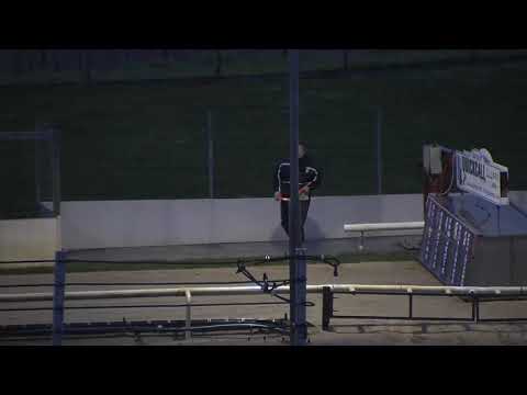 2021 GEORGE ING ST LEGER - HEAT 3 - T1 VIGOROUS KEVIN