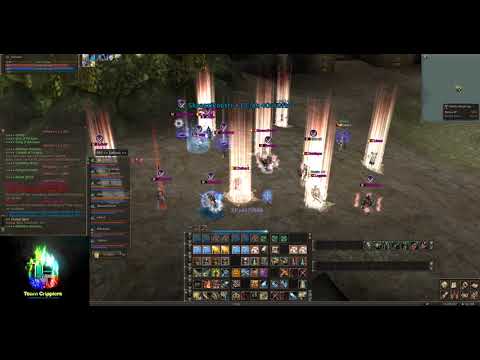 L2 Reborn X1 Duelist  PvP - Vulgar display of power