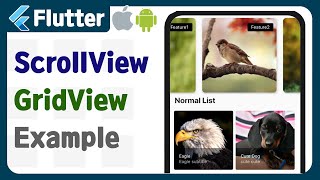 Flutter - Make Main screen (1)  ScrollView, GridView, ListView  example, tutorial