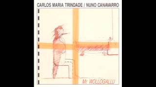 Nuno Canavarro - Segredos M. (1991)