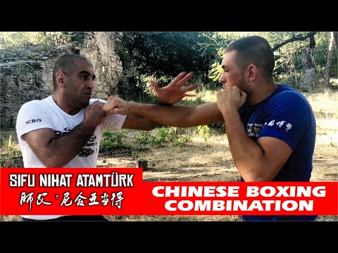 Chinese Boxing Combination - Sifu Nihat Atamtürk and Deniz Atamtürk in Georgia