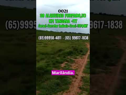 0023 - 91 Hectares, Nova Marilândia MT  Video 2025 09 19 at 16 50 45