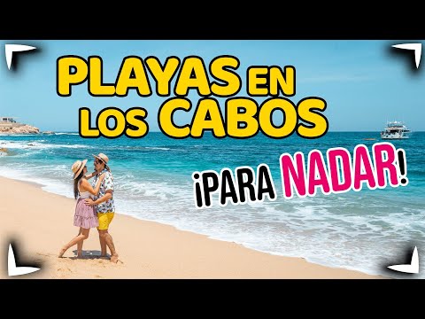 LOS CABOS - FREE beaches where you CAN SWIM 🔴 Chileno, Santa Maria, Palmillas & Viudas ✅ Sin Postal