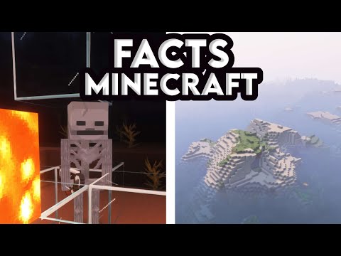 Willaume - THE LARGEST BIOME IN MINECRAFT (13 MILLION BLOCKS) 😵