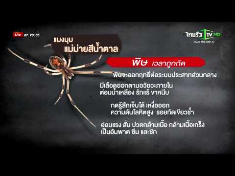 Squats เพิ่มความแรง การรักษาความแข็งแรงอ่อนแอ