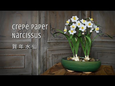 Crepe Paper Narcissus 賀年水仙 - *** Free Templates***