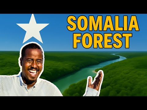 SAFARKAYGA KAYMAHA QARSOON EE SOMALIA 🇸🇴 MY JOURNEY TO THE HIDDEN FORESTS OF SOMALIA - ( ISTANBOOL )