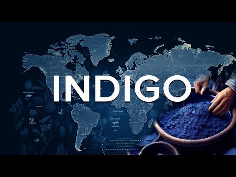 History of indigo. Fragment of a new tutorial by Michel Garcia