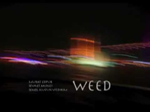 underneath the sky by weed; murat çopur, şevket akıncı, şenol küçükyıldırım.mov