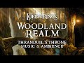 Lord of the Rings | 🍂 The Woodland Realm  Music & Ambience, Thranduil's Throne with @ASMRWeekly