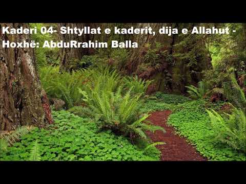 Kaderi - 4 - Shtyllat e kaderit, Dija e Allahut - Hoxhë: AbduRrahim Balla