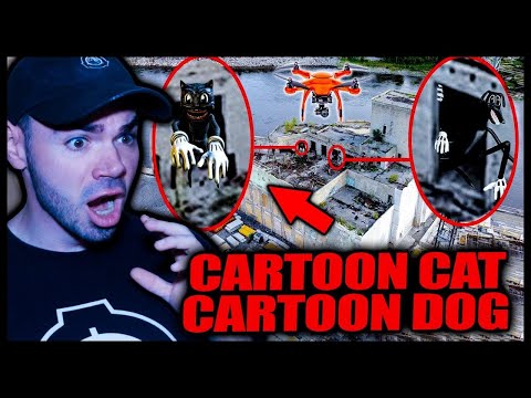 HO CATTURATO IL CARTOON DOG E IL CARTOON CAT 🙀🐶 CON IL DRONE *spaventoso*