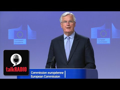 Michel Barnier insists still no progress in Brexit trade talks