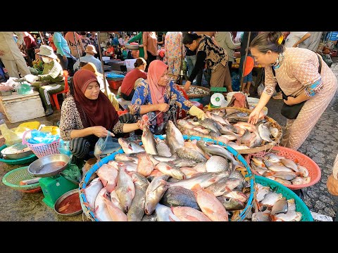 Amazing Cambodian Wet Market Food Scenes - Lively Fish, People Activities & Food Scenes