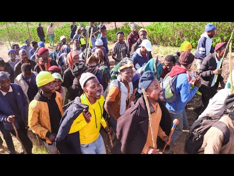 MJ Money Maker - Ntozikakhehle (Official Music Video)