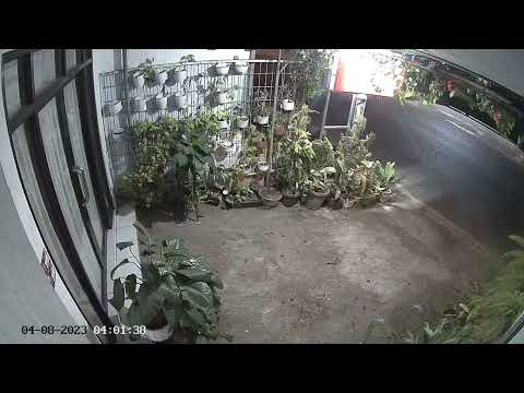 Tanggal 4 Agustus 2023 Jam 4 Pagi 001